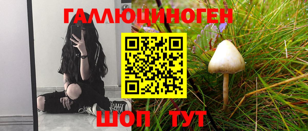 Галлюциногенные грибы GOLDEN TEACHER  Вход с VPN  Псилоцибиновые грибы Psilocybine cubensis  Фурманов 