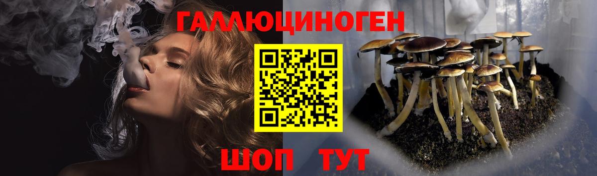 Псилоцибиновые грибы GOLDEN TEACHER Фурманов